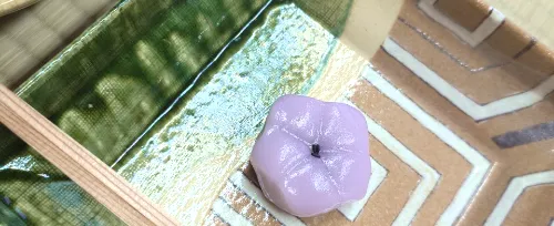 体験の様子（SP）